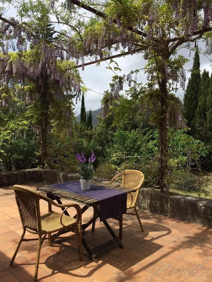 Finca Can Trui Teresa Pollenca Chalet